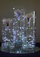 Load image into Gallery viewer, Glass Cylinder Vases
